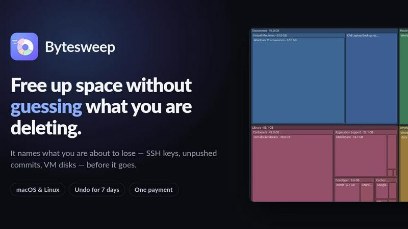 Bytesweep screenshot