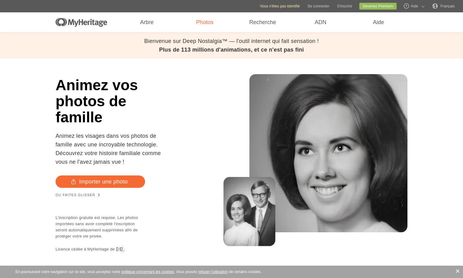 MyHeritage Website