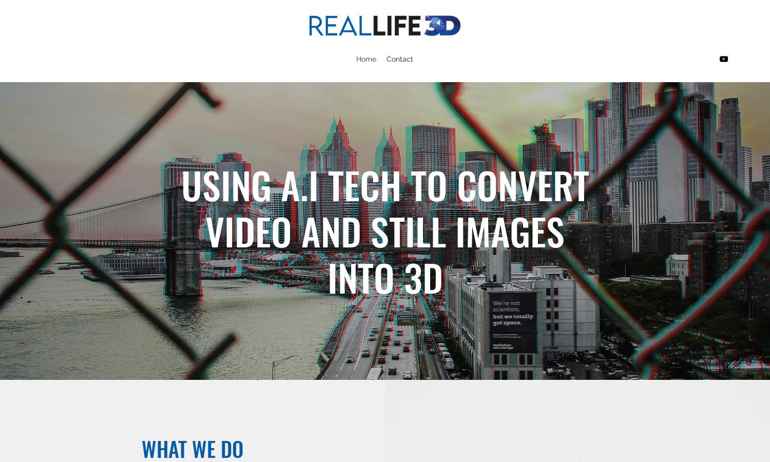 Real Life 3D Website